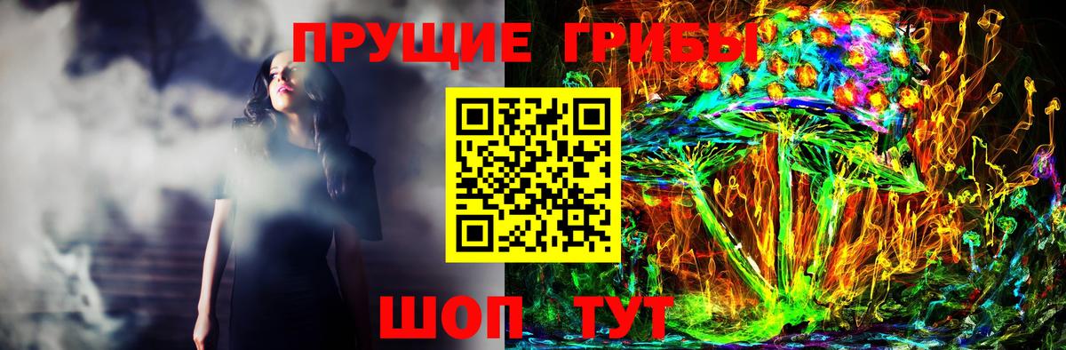 Ижевск  Псилоцибиновые грибы Cubensis  Вход с VPN  Псилоцибиновые грибы Cubensis 